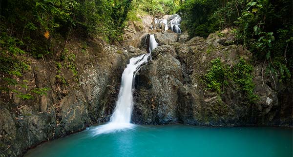 The Argyll Waterfall is the the highest waterfall on Tobago, and tumbles 54 meters into a deep pool.