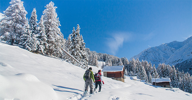 Snowshoeing in Valfurva (Ables path in Stelvio National Park) Paesaggi_Ables_GM-3788- ph. Giacomo Meneghello