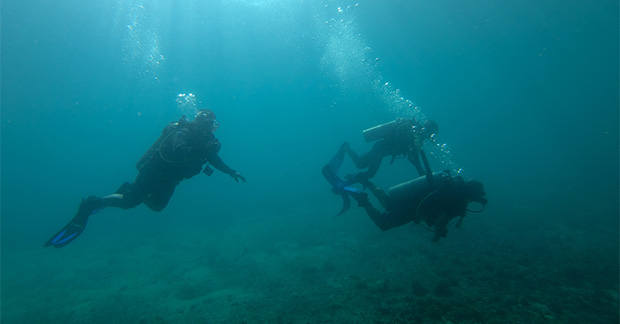 Panama divers