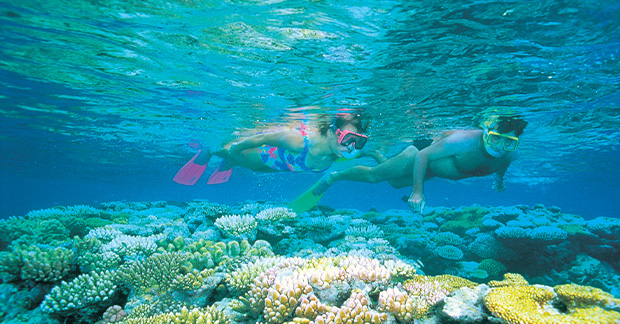 Australia snorkelling