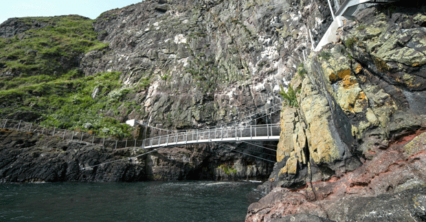 The-Gobbins-Swing-Bridge-and-Cliffs_master.-Credit---Tourism-Ireland_Arthur-Ward_resized