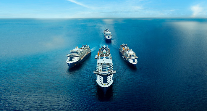 Celebrity cruises fleet