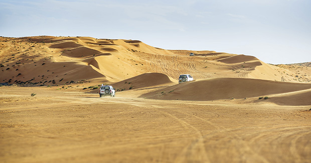 Oman desert
