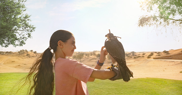 Falcon Show