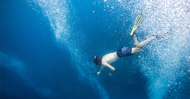 Dominica snorkelling