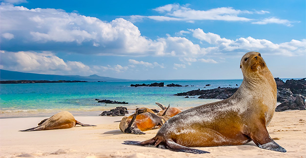 Galapagos island