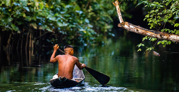 The Amazon