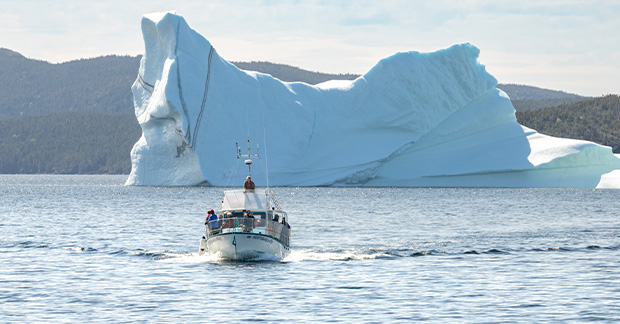 Canada Iceberg
