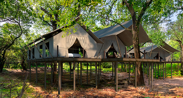 Toto Tree camp