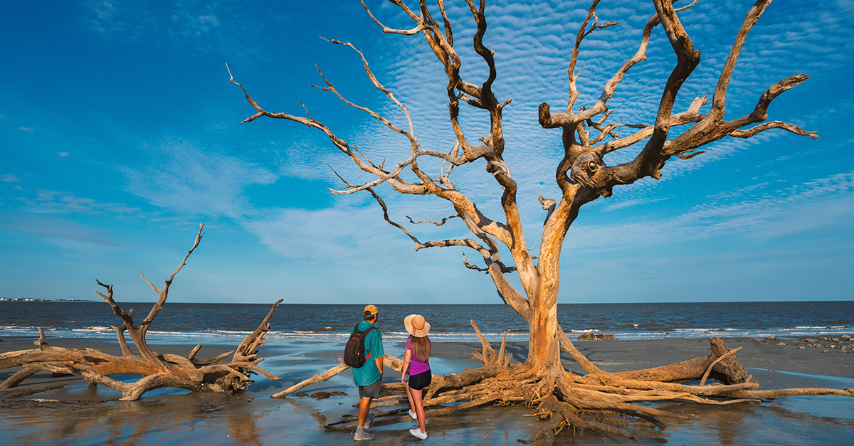 shutterstock__2044516268 cropped