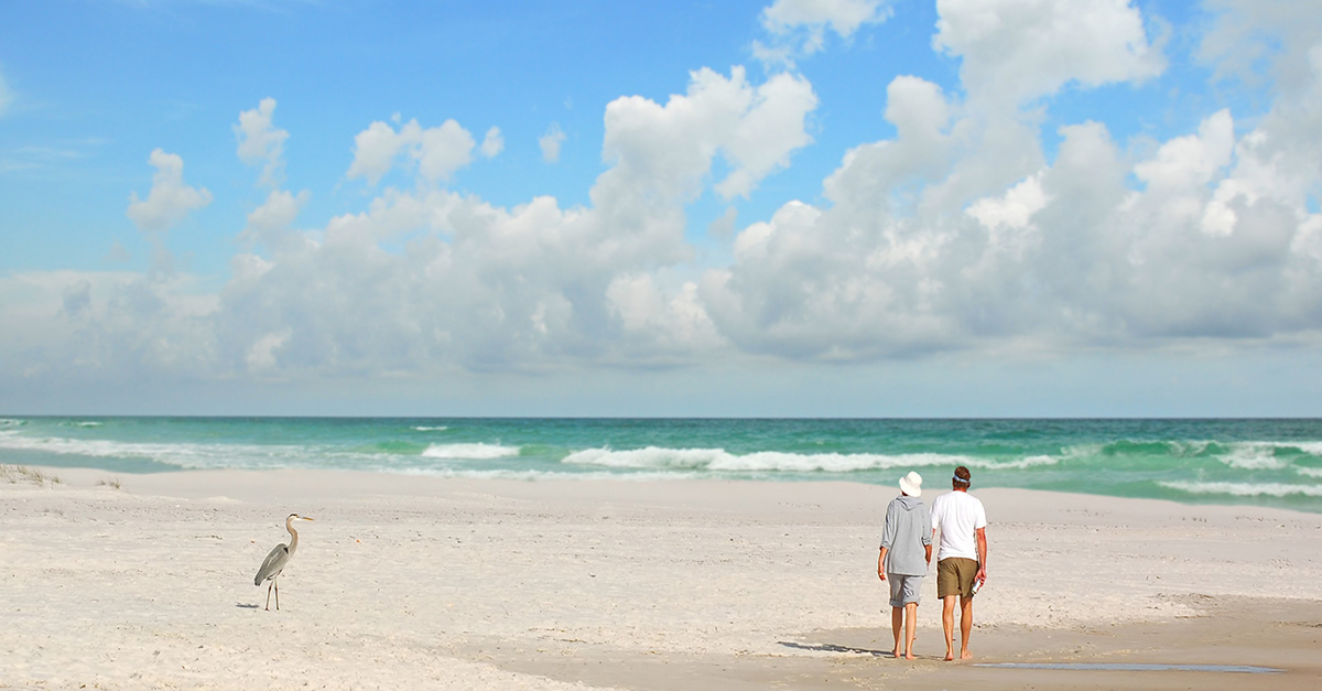 shutterstock_Cheryl Casey_6402346 cropped