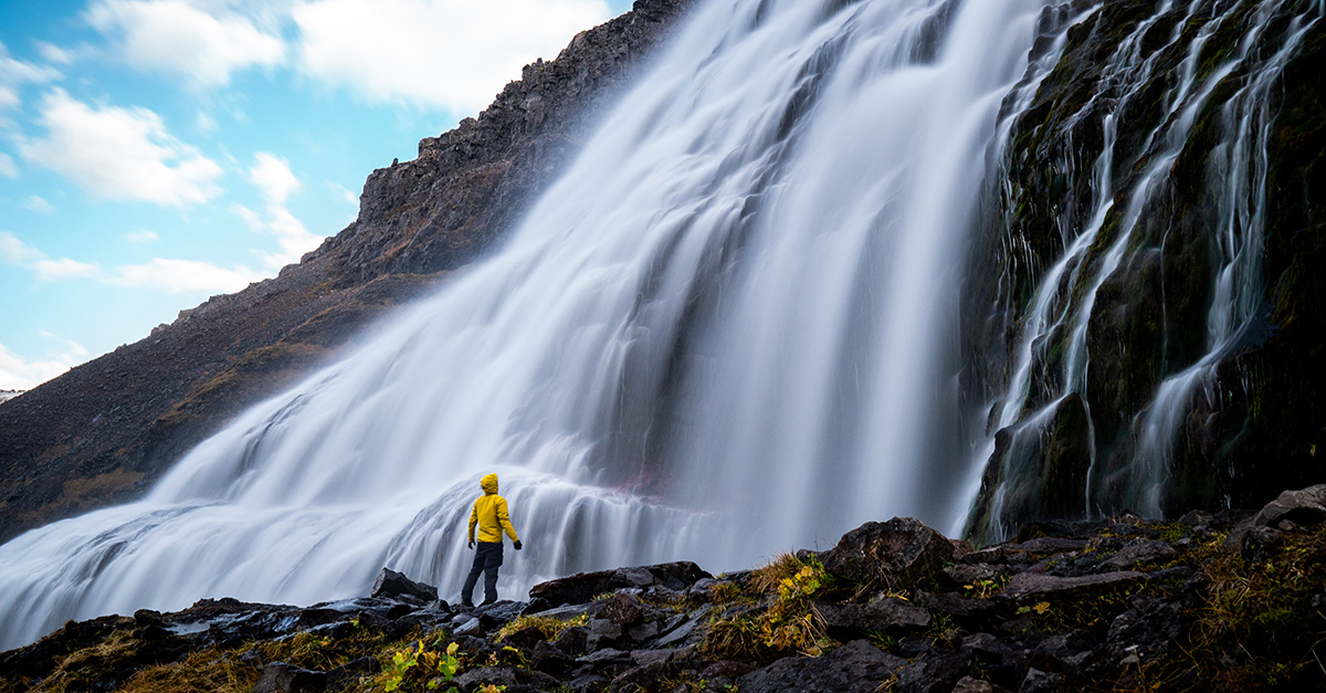 shutterstock_1288323013 cropped