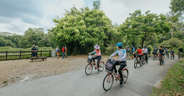 Cycling-path.-HR_STB_47454_AnnualPhotoshoot_Shot+61_V1_resized