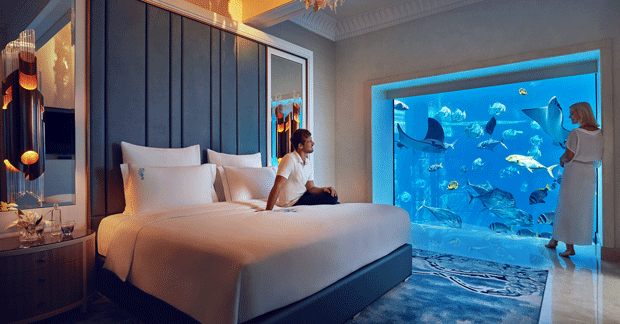 phy2020.rms.sig.underwatersuite.lifestyle_resized