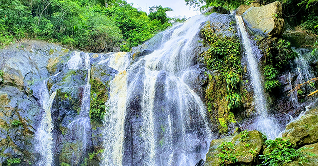 Tobago copy 1
