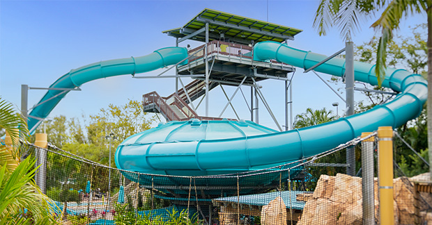 Photo4_TassiesUnderwaterTwist (1)