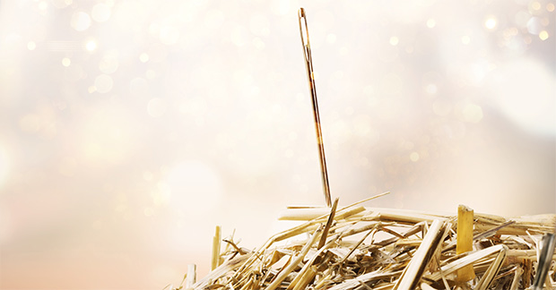 shutterstock_1506640736