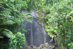 Cocoa Waterfall, Puerto Rico
