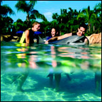 Anheuser_DiscoveryCove_CoralReef