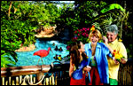Anheuser_DiscoveryCove_Aviary
