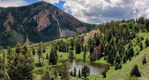 Yellowstone4