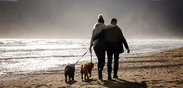 dog-walking