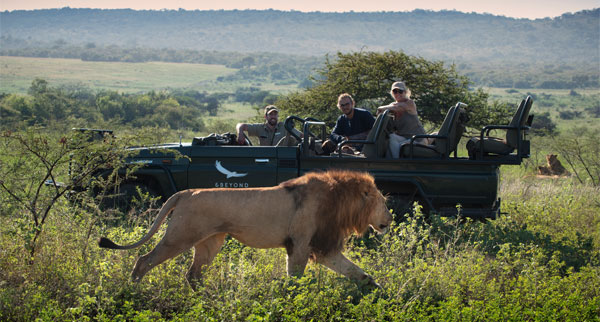 Safari3