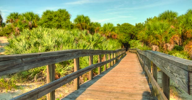 Florida Smyrna Beach 5