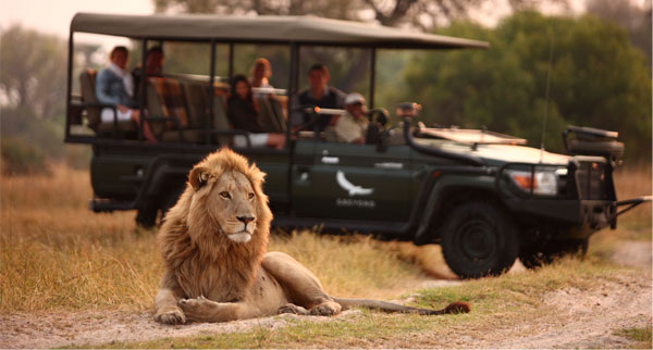 Safari6