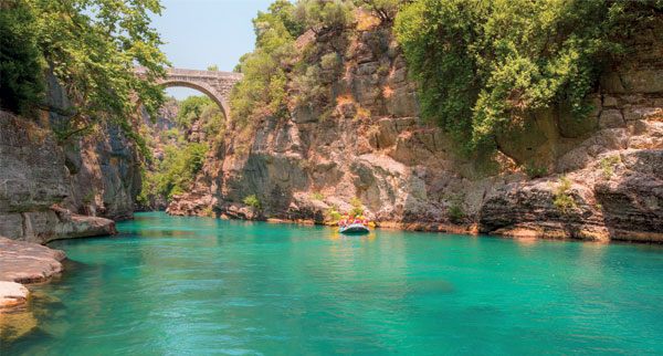Turkey2