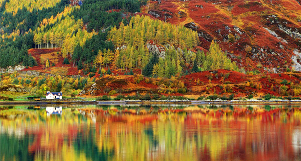 autumn2