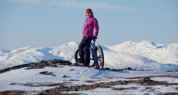 Scandi3