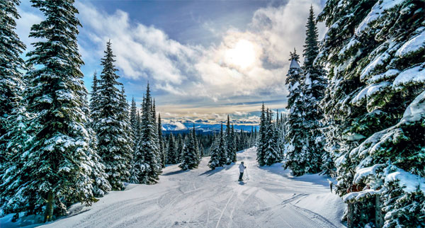 CanSki4