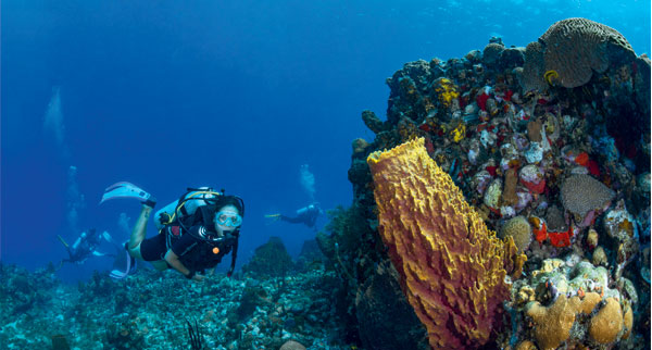 Dominica3