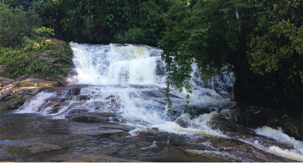 Paraty4