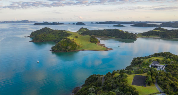 NZ3