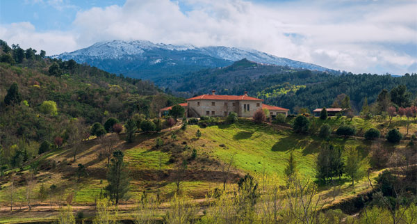 Centro3