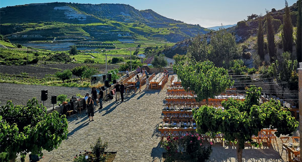 CyprusWine2