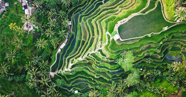 Indonesia5