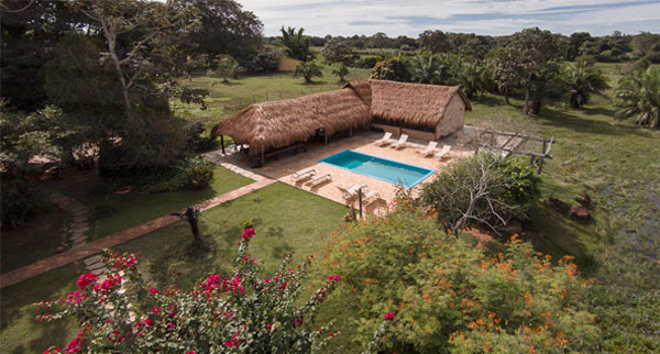 Pantanal5