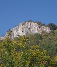 Kamaka Forest Reserve