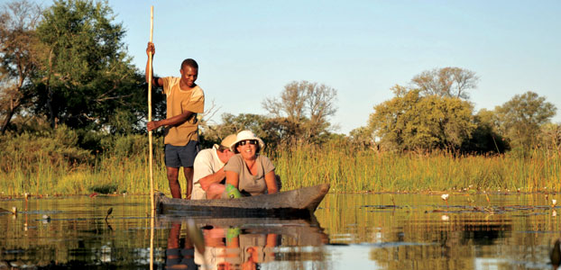 Safari Botswana