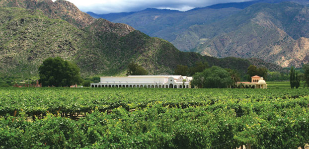 Winery near Cafayate - Image credit: Tokyo Tanenhaus