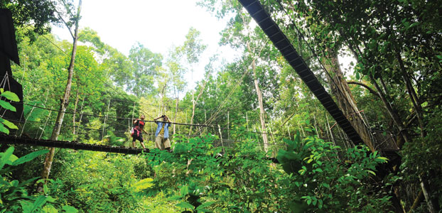 Penang National Park - Image credit: Tourism Malaysia