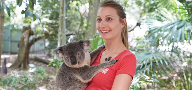 Destinations Koala