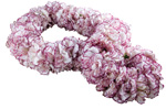 Hawaiian lei