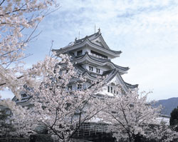 The Hanami season generally occurs in Tokyo, Osaka and Kyoto from late March to early April. 
