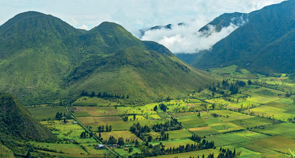 QUito3