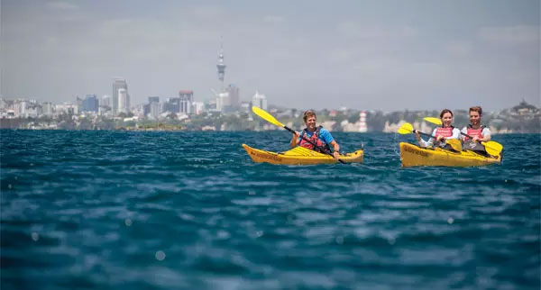 Auckland4