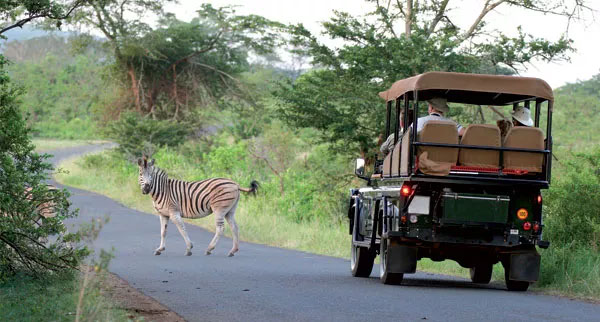 Escorted3